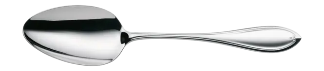Veilige Betaling WMF Premiere Opscheplepel 23,7 cm