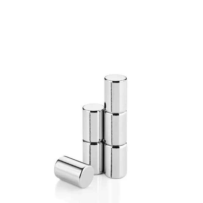 Blomus Velio Magneten RVS Mat 6 stuks Lage Prijs