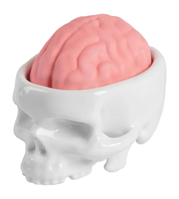Seletti Seletti x Propaganda Zeephouder White Kit Brainwash Populair