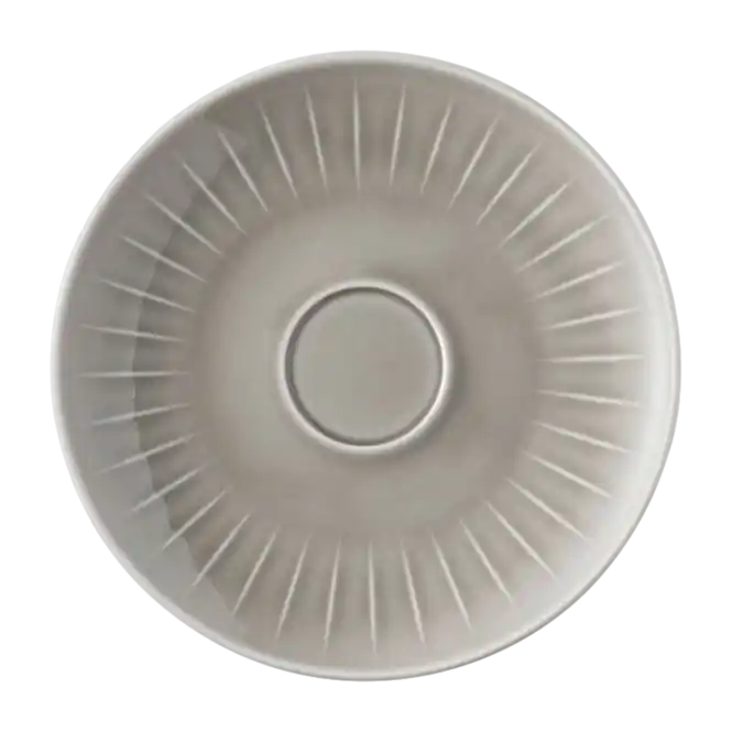 Gratis Retour Rosenthal Joyn Koffieschotel Grey 4 Tall 16 cm